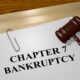 Chapter 7 bankruptcy